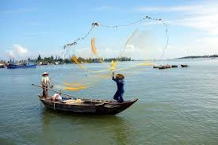 Hoi An: Market tour - Cam Thanh Cooking Class & Basket Boat - Timing, group size, and what to bring