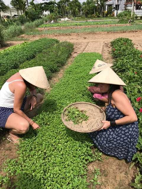 Hoian/Da Nang: Fishing, basket riding and cooking class - Practical advice before you book