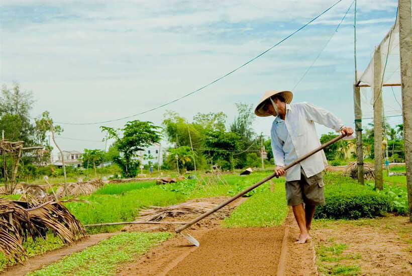 Hoian/Da Nang: Fishing, basket riding and cooking class - Is $35 a fair price for the half-day?