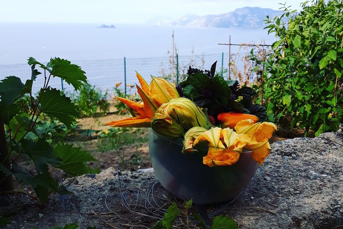 I offer cooking lesson of Amalfi tradition - Is $168.96 per person a fair price?