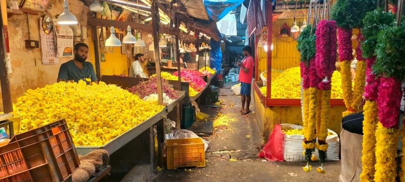 Indian Cooking & Market Tour in Pondicherry with Manisha Ray - A 10-minute rickshaw ride to the home kitchen