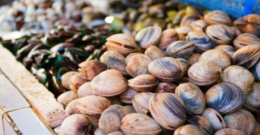 Ischia: Market Tour & Cooking Class at a Local's Home - From Ischia’s market to a private kitchen