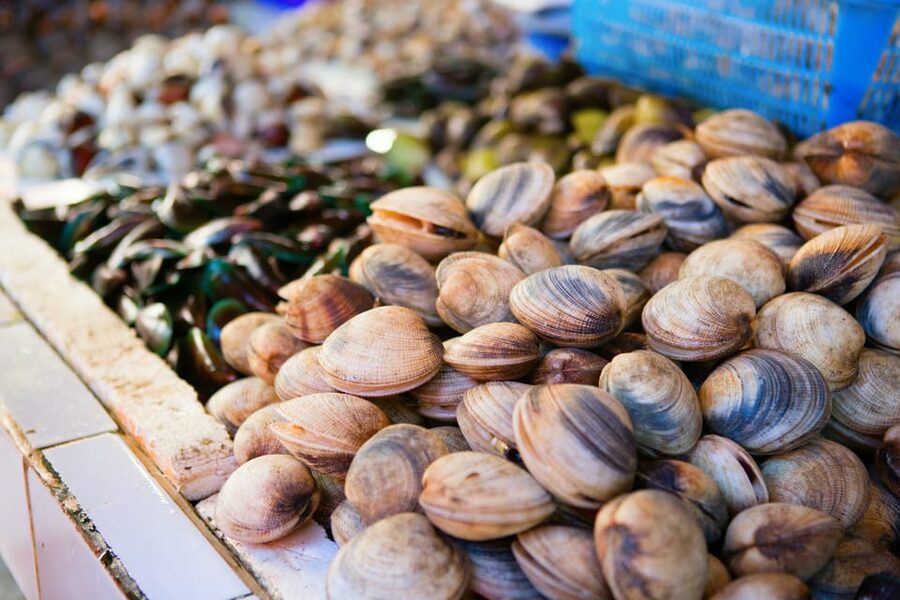 Ischia: Market Tour & Cooking Class at a Local's Home - Learning to shop like an Italian cook