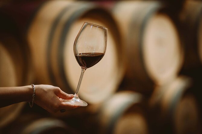 Italian Cooking Class and Wine Tasting in Tuscany - A short look around the property