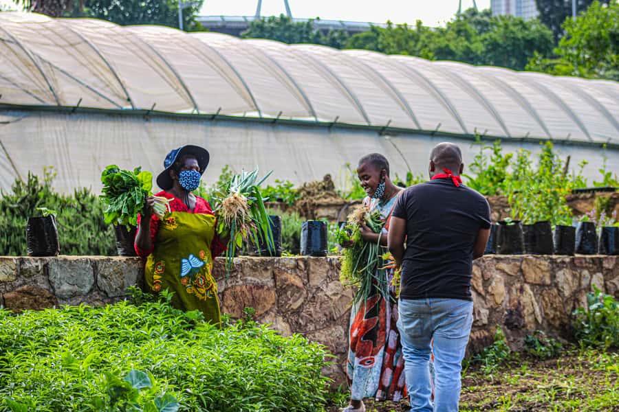 Johannesburg: Pan-African Cooking & Dinning Experience - Should you book this Pan-African cooking experience?