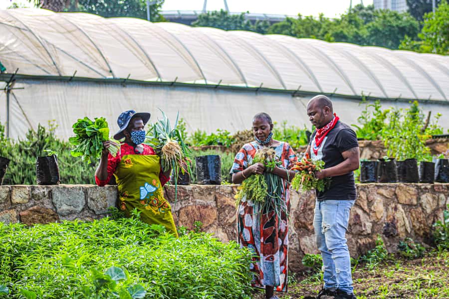 Johannesburg: Pan-African Cooking & Dinning Experience - Timing, pickup, and simple planning tips