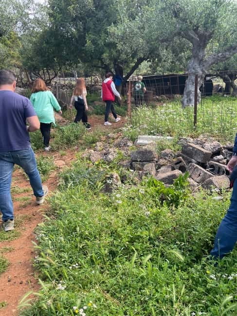 Kalamata: Farm-to-Table Experience with Cooking - Learning to make Sfela and Anthotyro