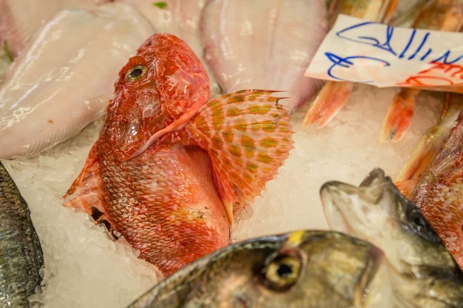La Spezia: Market Visit and Seafood Cooking Class with Lunch - What the $183.52 price includes