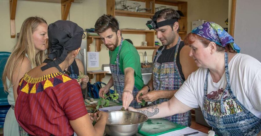 Lake Atitlan Maya Kitchen: 3-Hour Cooking Class - Who should book this cooking class