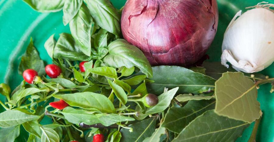 Lecce: Market and Private Cooking Class at a Local's Home - Key points at a glance