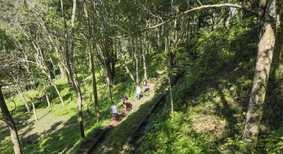 Lombok: Tetebatu Walk, Waterfall, Monkey Forest & Cooking - Why Tetebatu is worth your time