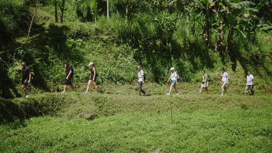 Lombok: Tetebatu Walk, Waterfall, Monkey Forest & Cooking - Is the $31 price good value?