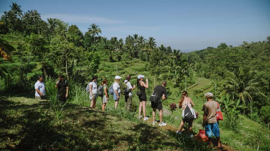 Lombok: Tetebatu Walk, Waterfall, Monkey Forest & Cooking - Who should book this Tetebatu experience?
