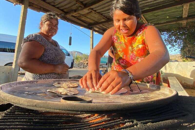 Los Cabos: Azteca Cactus Taco Farm to Table Cooking Class - Why the cactus is the star of the day