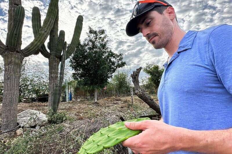Los Cabos: Azteca Cactus Taco Farm to Table Cooking Class - A family meal with genuine local connection