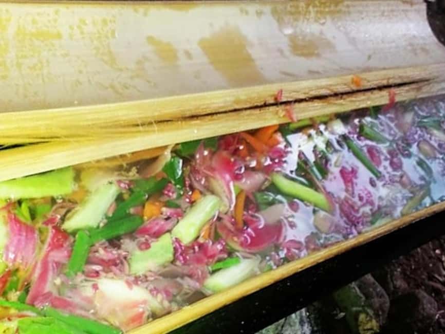 Luang Prabang: Bamboo Forest Cooking-class & Farm Visit - A forest kitchen instead of a cooking studio