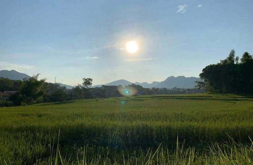 Luang Prabang: Evening Cooking Class & Local Baci Ceremony - What Dinner Tells You About Lao Food