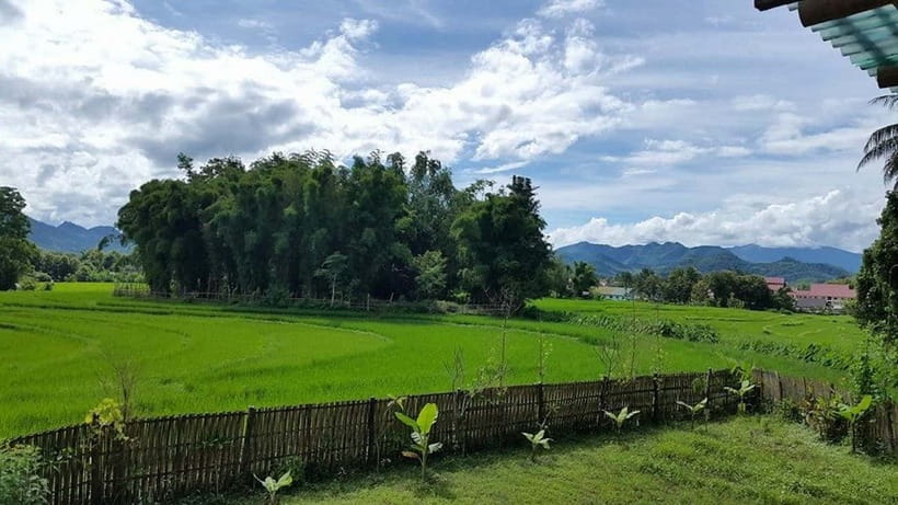 Luang Prabang: Evening Cooking Class & Local Baci Ceremony - Who Should Book This Evening?