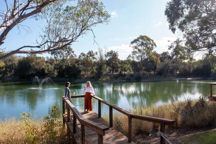 Maggie Beer's Farm: Cooking Demonstration with Lunch & Wine - Choosing between Pheasant Farm Wines and Maggie’s Orchard Gin