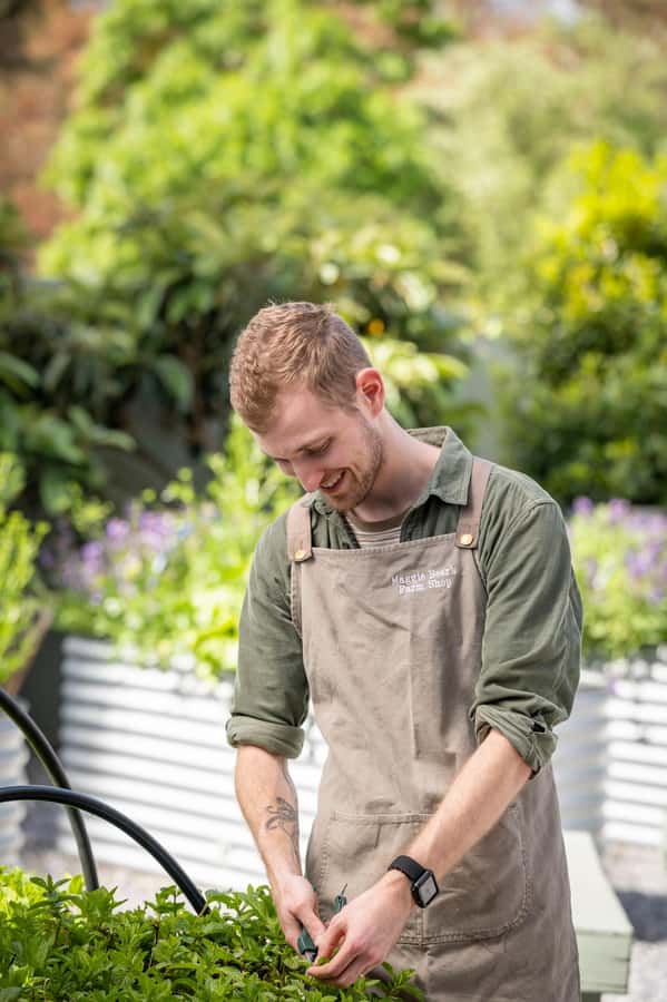Maggie Beer's Farm Hands-on Cooking School and Lunch - Practical timing and what to expect