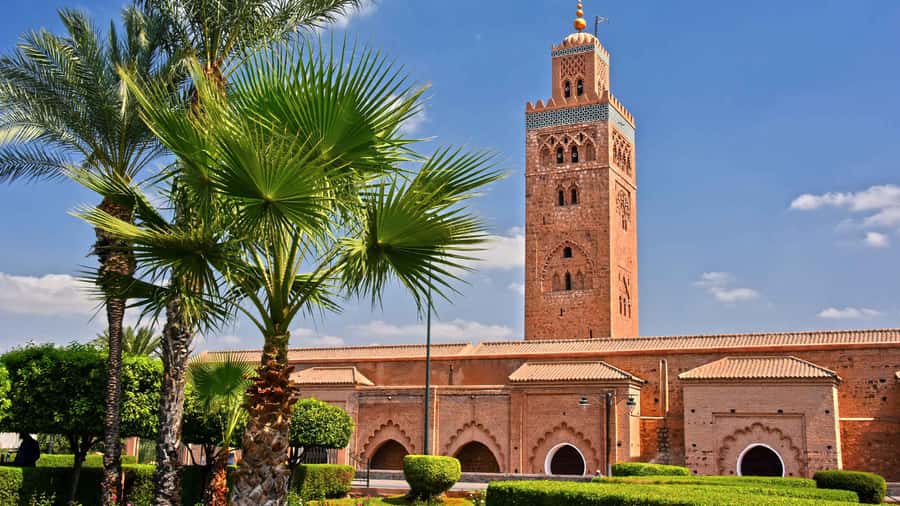 Marrakech: Cooking class in Marrakech by Chef Ayoub - A family table rather than a standard cooking demo