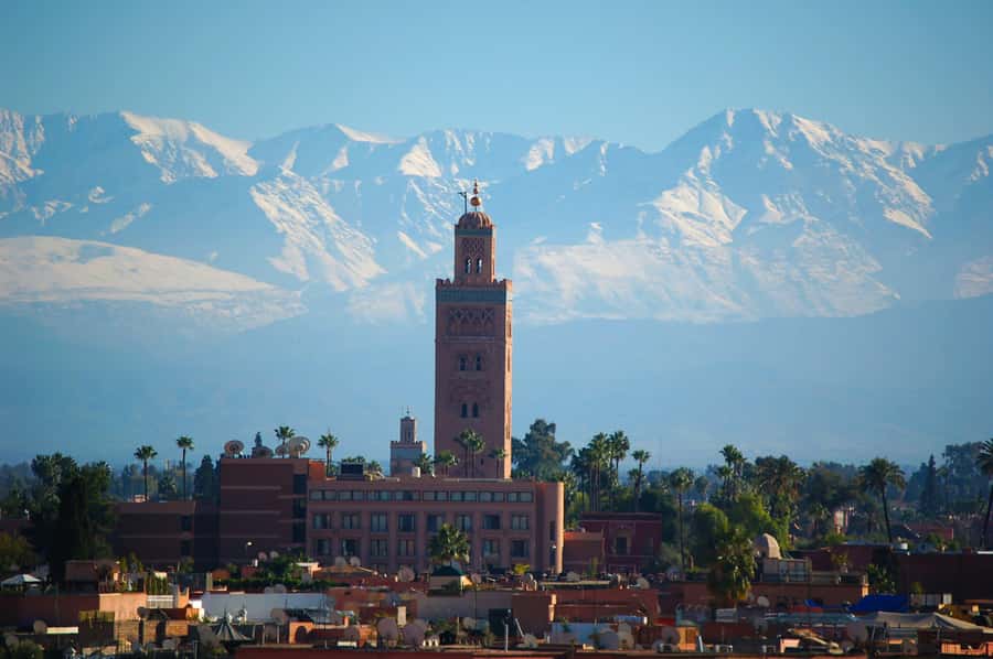Marrakech: Moroccan Cooking Class with Amazing Local Chef! - Key points to know before booking