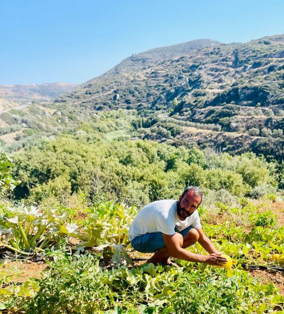 Melanes: Naxos Perivoli Farm & Cooking Class with Wood Fire - Who should book this experience