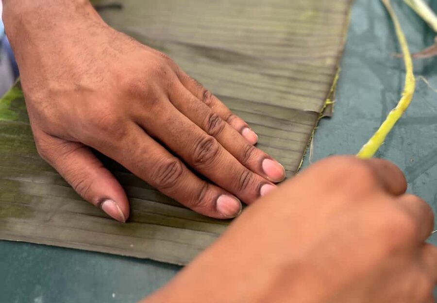Mérida Cooking Class, taste of Yucatan - Practical details that matter in Mérida’s heat
