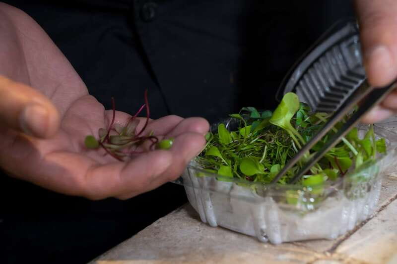 Mexico City: Mexican Cooking Class - The chefs and teaching style