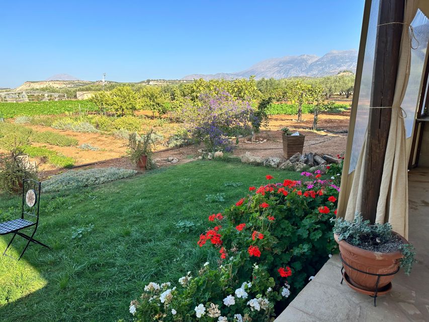 Moires: Cooking Class and Olive Oil Tasting at a Family Farm - Who should book this Cretan cooking class