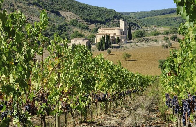Montalcino Cooking Class and lunch with the local lady - Cooking lunch in Montalcino, not just watching it