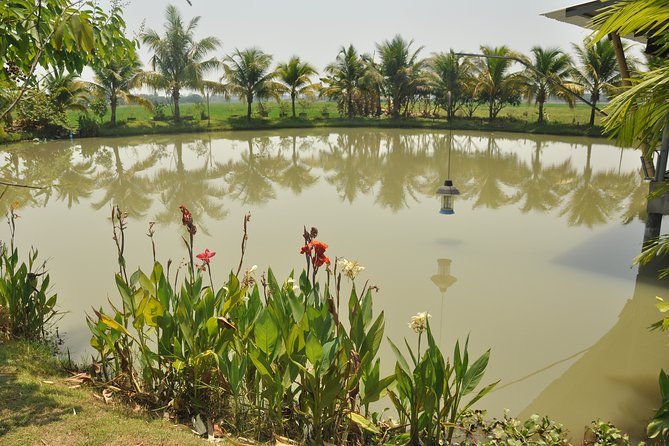 Morning Cooking Class in Organic Farm with Local Market Tour - Leaving Chiang Mai for the organic farm