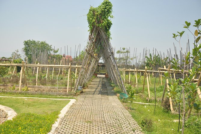 Morning Cooking Class in Organic Farm with Local Market Tour - What makes the cooking feel local