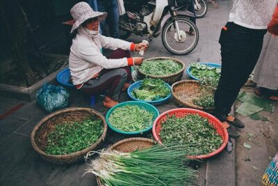 Morning Cooking Class in Thuan Tinh Island depart from Hoi An Old Town