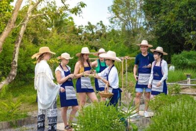 Morning Cooking Class in Traditional Pavilion with Beautiful Garden – Chiang Mai