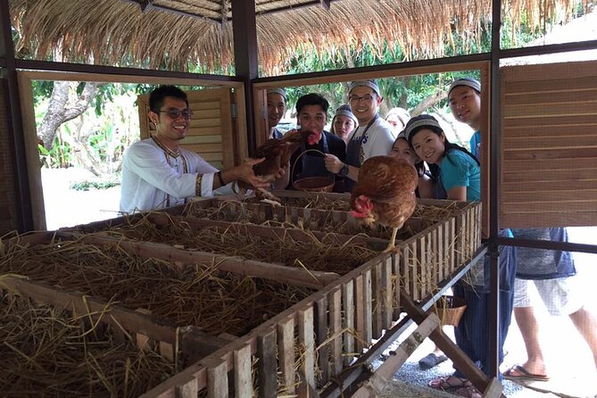 Morning Cooking Class in Traditional Pavilion with Beautiful Garden - Chiang Mai - What the $50.50 price includes in practical terms
