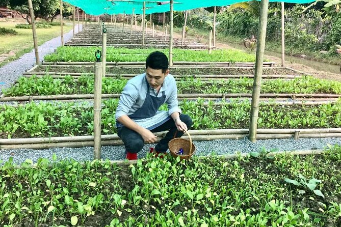 Morning Cooking Class in Traditional Pavilion with Beautiful Garden - Chiang Mai - Should you book this farm cooking class?