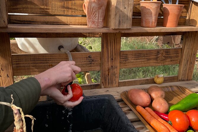 Moroccan Cooking Class and Eco-Farm Visit - Full day - Meeting Oumayma and the family
