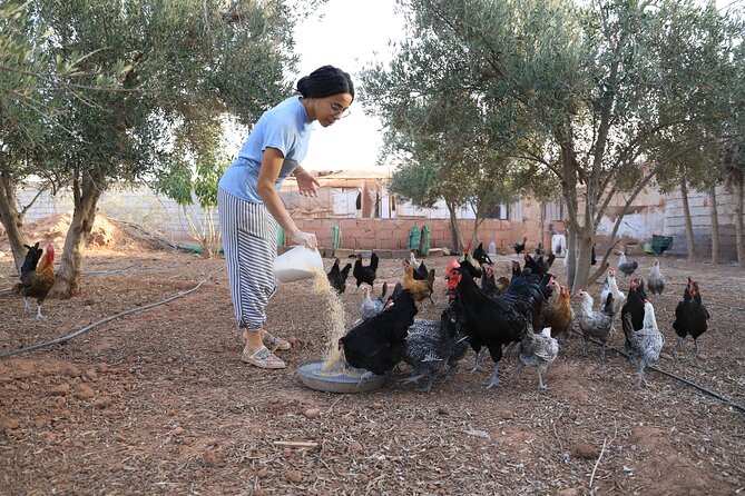 Moroccan Cooking Class and Eco-Farm Visit - Full day - Shade, rooftops, and a slower afternoon