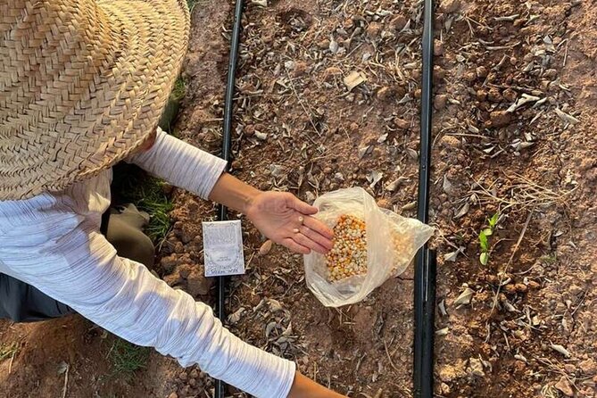 Moroccan Cooking Class and Eco-Farm Visit - Full day - Moroccan tea closes the day