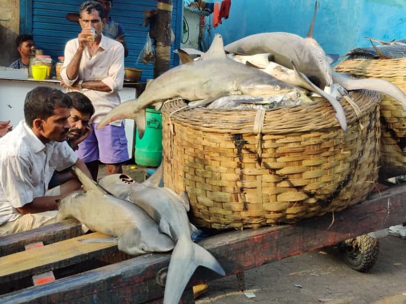 Mumbai Coastal Cooking: From Fishing Net to Flavourful Plate - Practical advice for a smoother visit