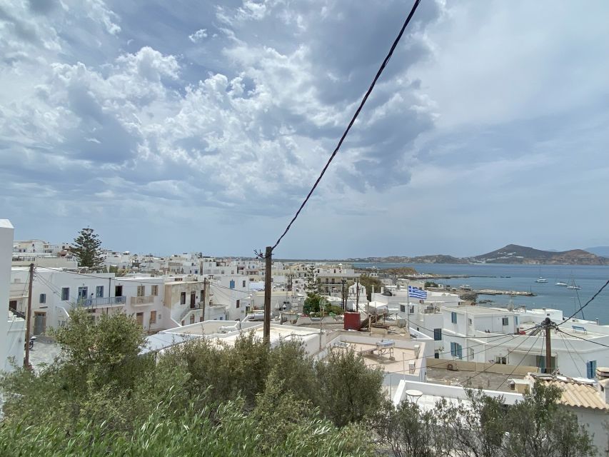Naxos: Food Walking Tour & Cooking Class with Meal & Drinks - Shopping for ingredients in the local market