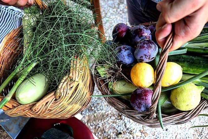 Naxos:Half-day cooking class at Basiliko - A farm walk while dinner cooks