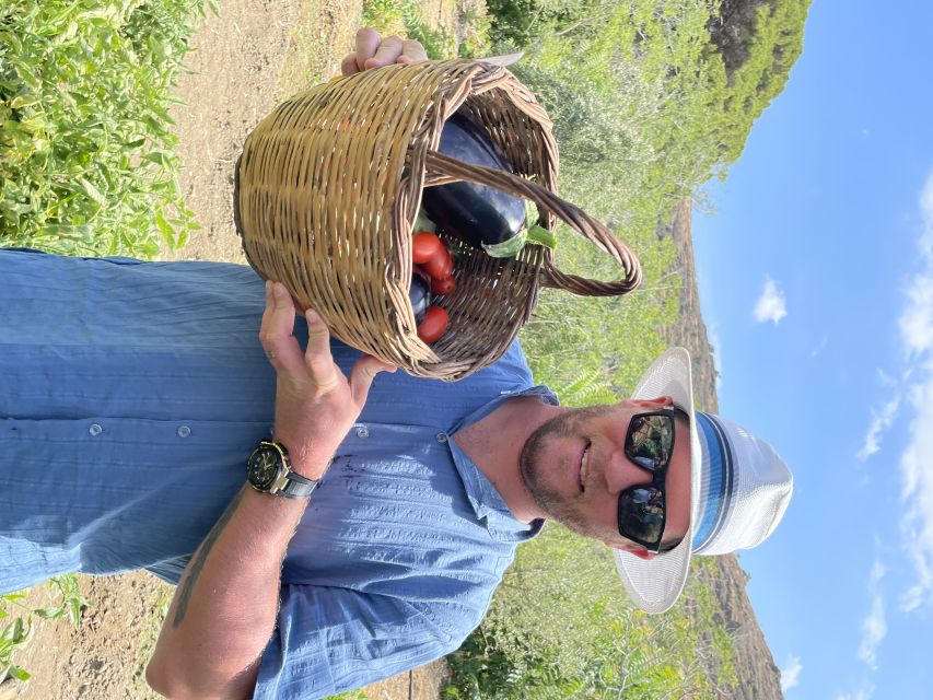 Naxos: Half-Day Cooking Class at Basiliko Family Tavern - Scheduling and cancellation
