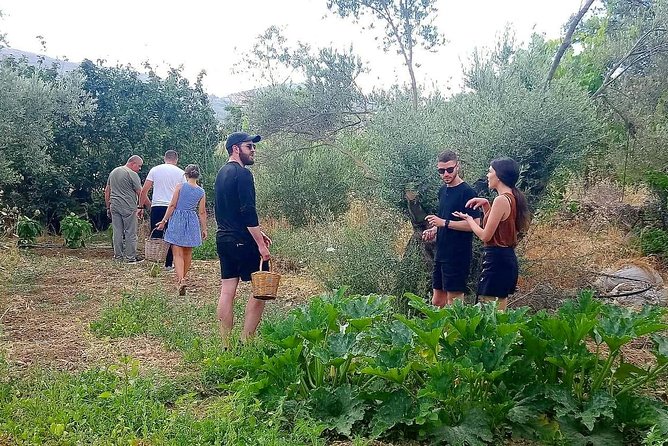 Naxos:Half-day cooking class at Basiliko - Preparing traditional Naxos dishes together