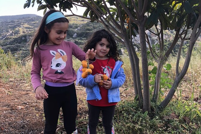 Naxos Perivoli Farm Experience & Wood-fire Cooking Class - Olive trees, fresh oil, and Naxian potatoes