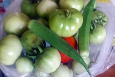 Neighborhood Market Tour & South Indian Cooking Class in Chennai