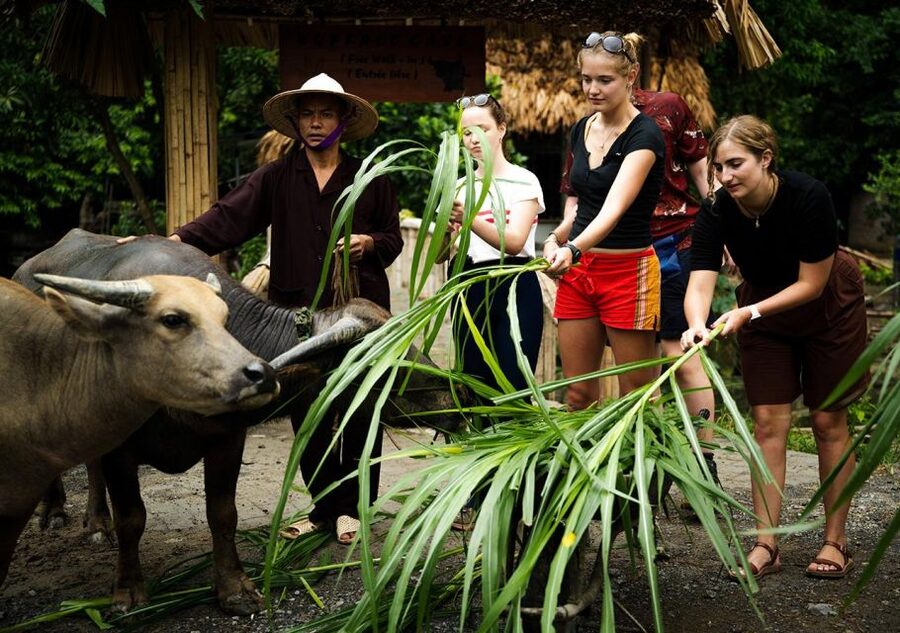 Ninh Binh cooking class at Buffalo Cave - What the $25 price really covers