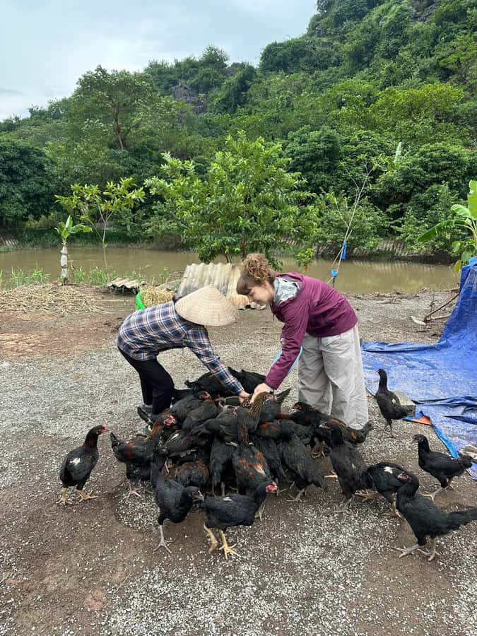 Ninh Binh: Half-Day Cooking Class at a Local Home - Key points at a glance