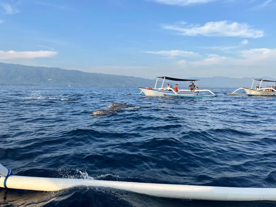 North Bali:Sunrise Dolphin Watching&CookingClass experience - FAQ